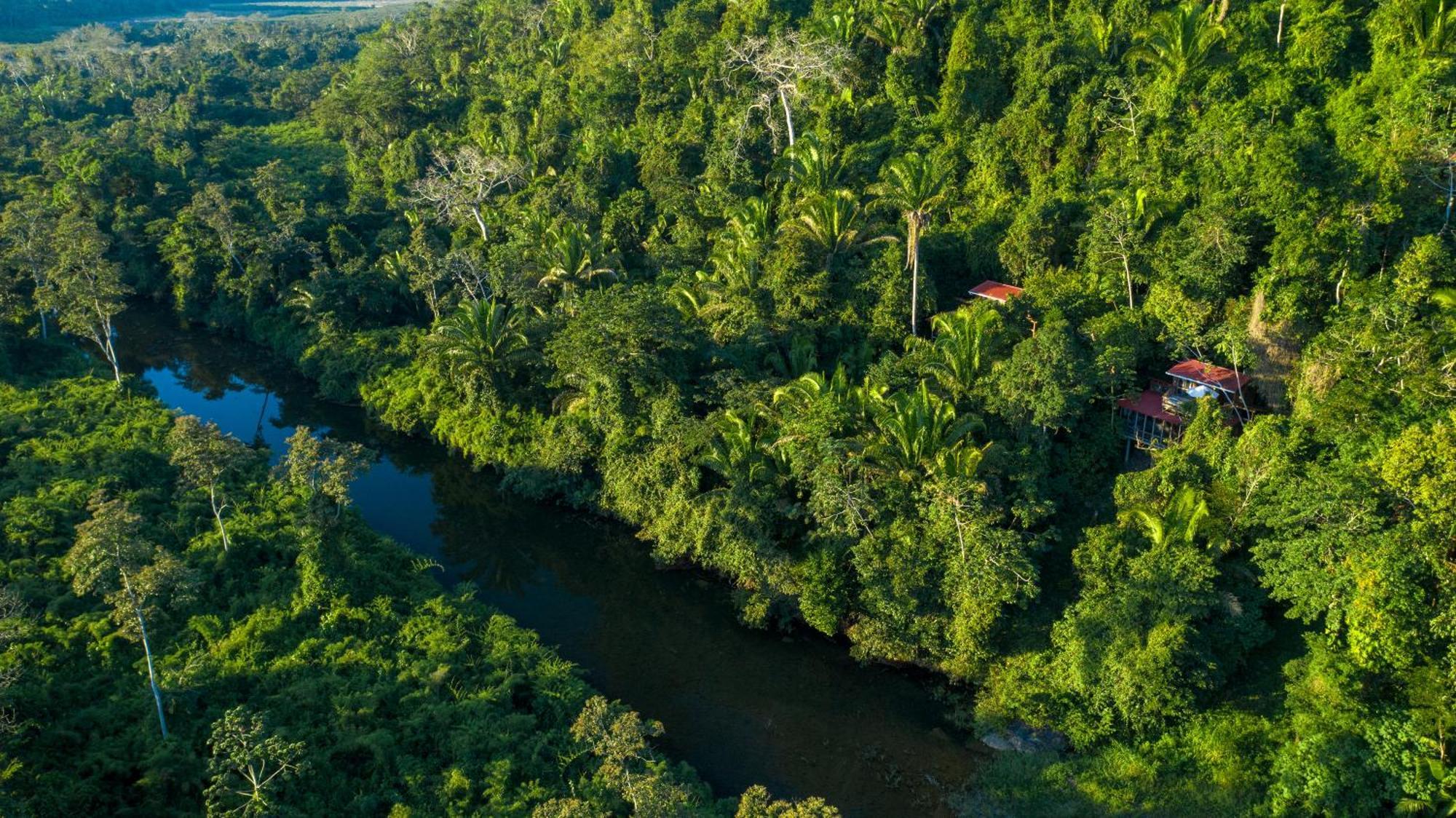 Ian Anderson Caves Branch Jungle Lodge Belmopan Bagian luar foto