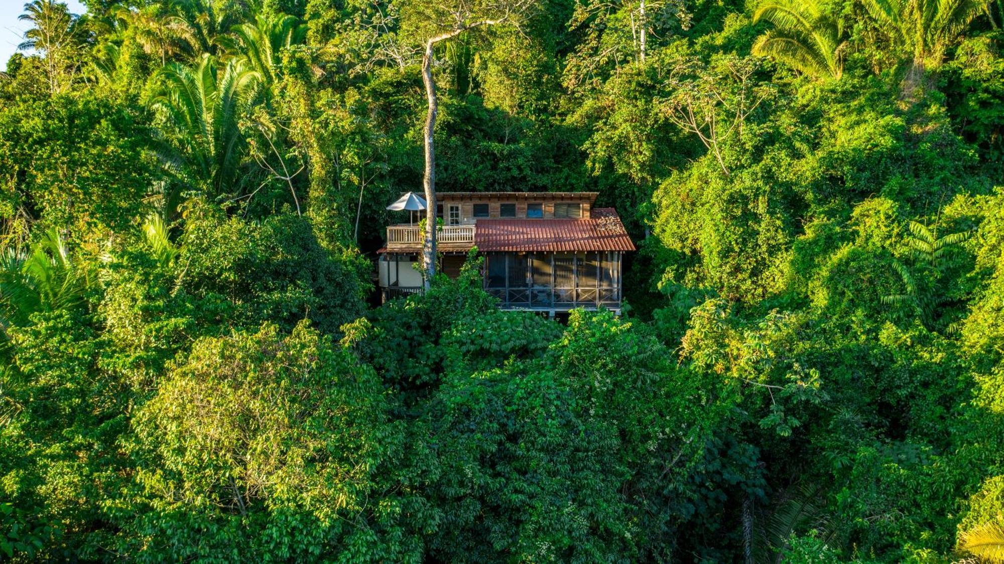 Ian Anderson Caves Branch Jungle Lodge Belmopan Bagian luar foto
